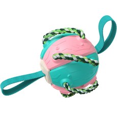 다연경 강아지 고양이 노즈워크 장난감, 핑크민트(TY022), 1개