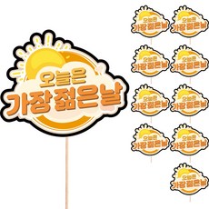 Vividrain 花束 盆栽 年糕蛋糕 禮物 裝飾 留言插牌 生日 蛋糕插牌, S07 今天是我們最年輕的一天, 10個