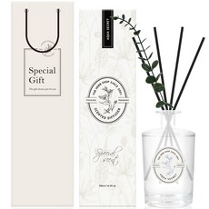 더허브샵 센티드 디퓨저 500ml + 쇼핑백, 아쿠아시크릿, 1개