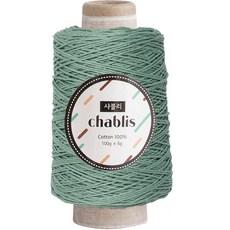 Yarna Chablis針織紗 100g, 133 復古綠, 1捆