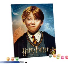 I LOVE PAINTING 哈利波特DIY繪畫組, 榮恩衛斯理