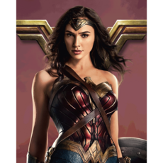 iLovePainting DC DIY PAINTING 神力女超人