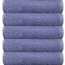 송월타월 헤비 항균 호텔수건 180g 40수 코마사, 스카이, 5개