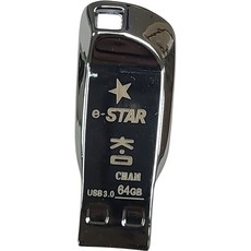 eSTARSSD 3 USB 메모리 실버 CHAM, 64GB, 1개