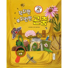 驚奇自然探險： 昆蟲, 驚人的自然探索, 時空JUNIOR