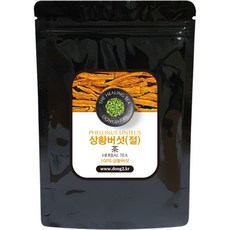 동이약초 상황버섯 절, 250g, 1개
