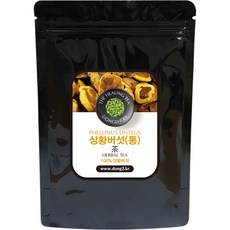 동이약초 상황버섯 통, 150g, 1개