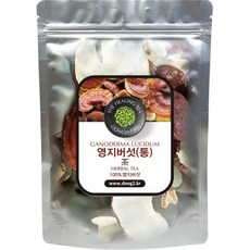 동이약초 영지버섯 통, 250g, 1개