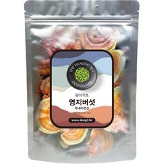 동이약초 자연산 영지버섯 통, 150g, 1개