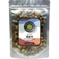 동이약초 복분자 어린열매, 150g, 1개