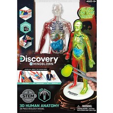 Discovery MINDBLOWN 3D夜光人體解剖模型套組, 單品, 1個