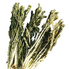 나물투데이 국내산 건시래기, 100g, 1개