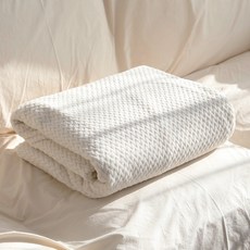 HANSGALLERY 人字紋超細纖維毯