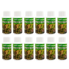 샘아쿠아 터치 박테리아 활성제, 25ml, 12개