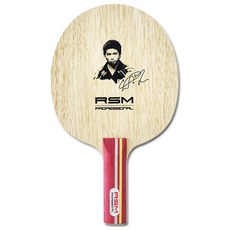 RSM專業AL碳纖維乒乓球拍ST, 單品, 1個