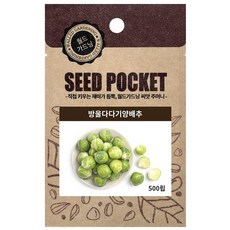 월드가드닝 정원 텃밭 좋은 씨앗 방울다다기양배추씨 500p, 1개