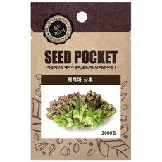 월드가드닝 정원 텃밭 좋은 씨앗 적치마상추씨 2000p, 1개