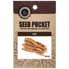 월드가드닝 정원 텃밭 좋은 씨앗 뿌리채소 더덕씨 500p, 1개