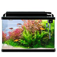 리컴 뉴 일체형 어항 풀세트 XT-360, 혼합색상, 1세트