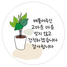 단비나인 답례 인사 스티커, 04(화이트), 50개