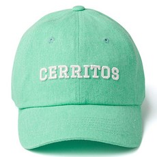 HOTEL CERRITOS Cerritos 洗帽
