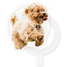 유스픽 디자인 맥세이프 스마트 톡톡 + 후면 마그네틱 링 스티커 세트, 산책개좋아 13 풀개, 1세트