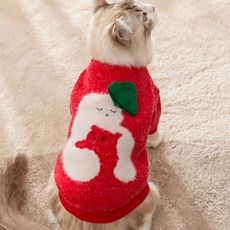 貓咪 Artipet 綠色帽子擁抱毛衣, 紅色