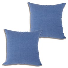 대일컴퍼니 피그먼트 쿠션 솜포함 2p, 블루