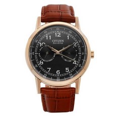 CITIZEN 男款黑貓頭鷹皮革手錶 AO9003-08E