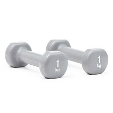 Reebok 銳步 訓練啞鈴 RAWT-18001, 1kg, 2個