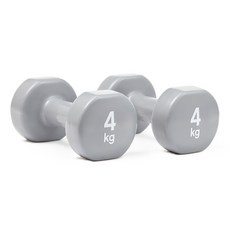 리복 트레이닝 덤벨 RAWT-18004, 4kg, 2개