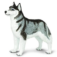 Safari Ltd 西伯利亞哈士奇 Siberian Husky 公仔 255229, 1個