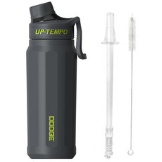 DODGE大容量吸管保溫杯+專用吸管+吸管刷組, 黑色, 670ml, 1組