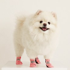 펫인뷰티 강아지 구리항균 포우랩 신발 4p, 핑크, 2세트