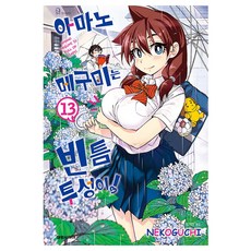 아마노 메구미는 빈틈투성이, 13권, 대원씨아이