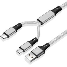 헨센 2in1 C타입 5핀 겸용 충전 케이블 USB, 실버, 1개, 1m