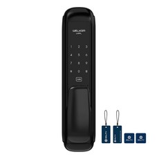 솔리티 웰콤 라플 푸시풀 디지털 도어락, WSP-1500, 방문설치