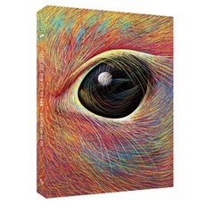 點子, 半月(Kinderland), 伊莎貝爾·西姆勒