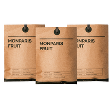 RAFFINEUR Craft 香氛袋 室內芳香劑 74g 3入, 混合色, 反轉巴黎果香