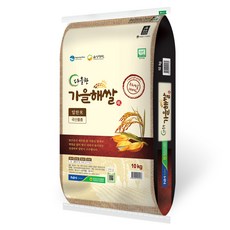 음성군농협 2025년산 햅쌀 다올찬 가을해쌀 알찬미, 10kg, 1개, 상등급