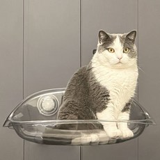 DING DONG PET 寵物固定式巢穴吊床, 透明