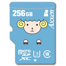 Axxen PREMIUM 圓滾滾 Micro SD卡 MSD11, 256GB