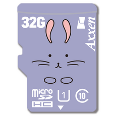 Axxen PREMIUM 圓滾滾 micro SD卡 MSD11, 32GB
