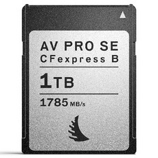 ANGELBIRD 記憶卡AV PRO CFexpress SE Type B, 1TB