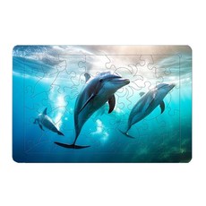 PuzzleGallery Atti 拼圖 有助於預防失智症的木製板塊拼圖 海豚之旅, 1個, 40件