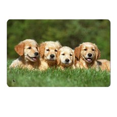 Atypical午後的休憩款木質拼圖, 1個, 40件