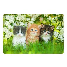 Atypical花園的貓咪們款木質拼圖, 1個, 40件