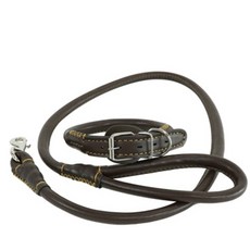 개과천선 강아지 레더 방수 리드줄 + 목줄 세트, 브라운, 1세트