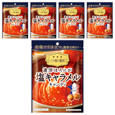 Kanro 甘樂 濃厚鹽味焦糖牛奶糖 岩鹽 硬糖, 66.3g, 5袋