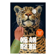 BUNHONG GORAE 黑暗中的小火花, 弗朗索瓦·大衛